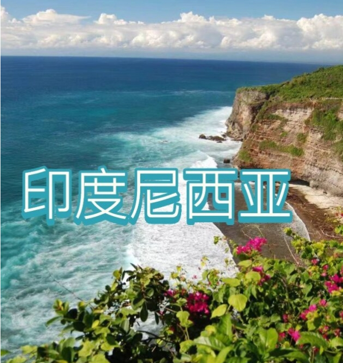 国际电商(印尼)产业博览会AG真人登录2025中国(图2)